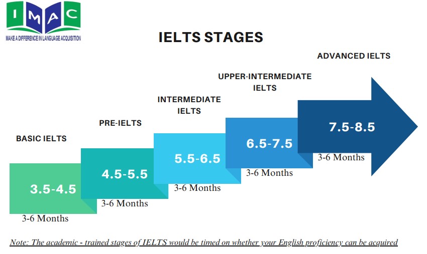 Lộ trình IELTS 5 Giai Đoạn tại I-MAC: Con đường học thuật chinh phục Band 8.5