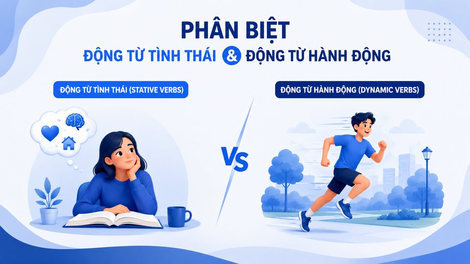 Phân biệt Động từ Tình thái và Động từ Hành động (Dynamic Verbs)